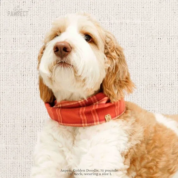 XS Flannel Dog Bandana Infinity Scarf for small dogs - Picture 3 of 13